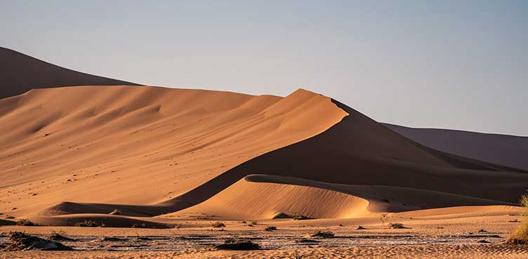 Dans le désert du Namib