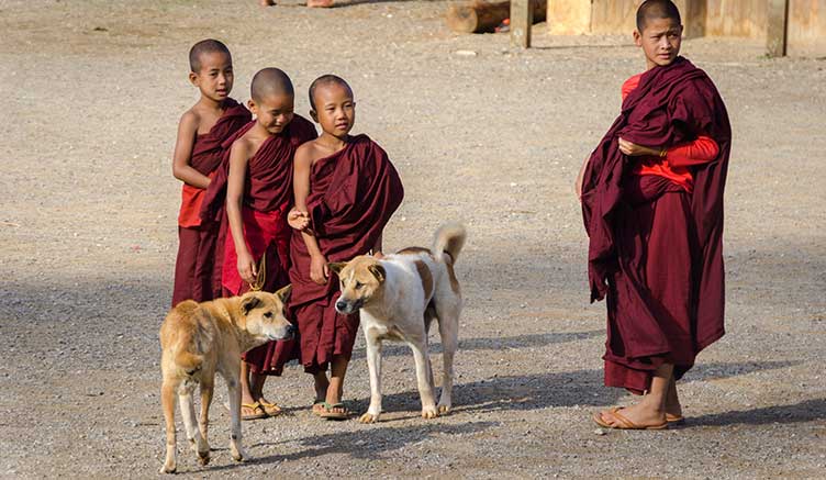 Jeunes moines en Birmanie