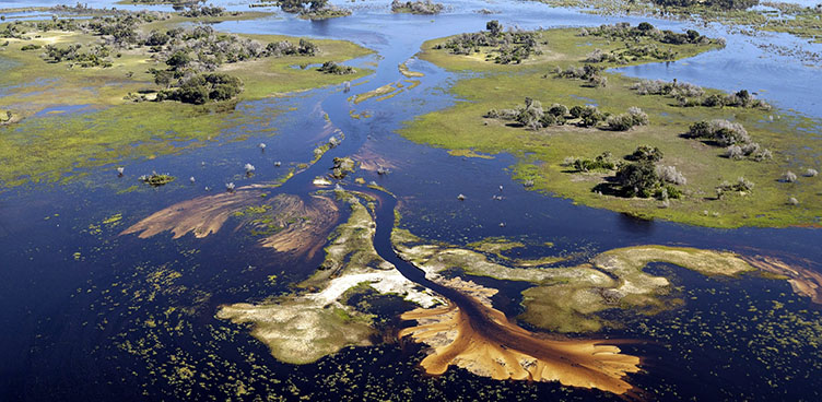 en vol au dessus de l'Okavango