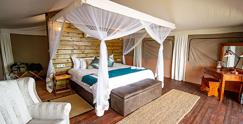 voyages afrique australe silver Chambre de lodge en Afrique australe