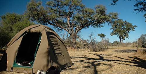 voyages afrique australe camping Tente dans le bush en Afrique australe